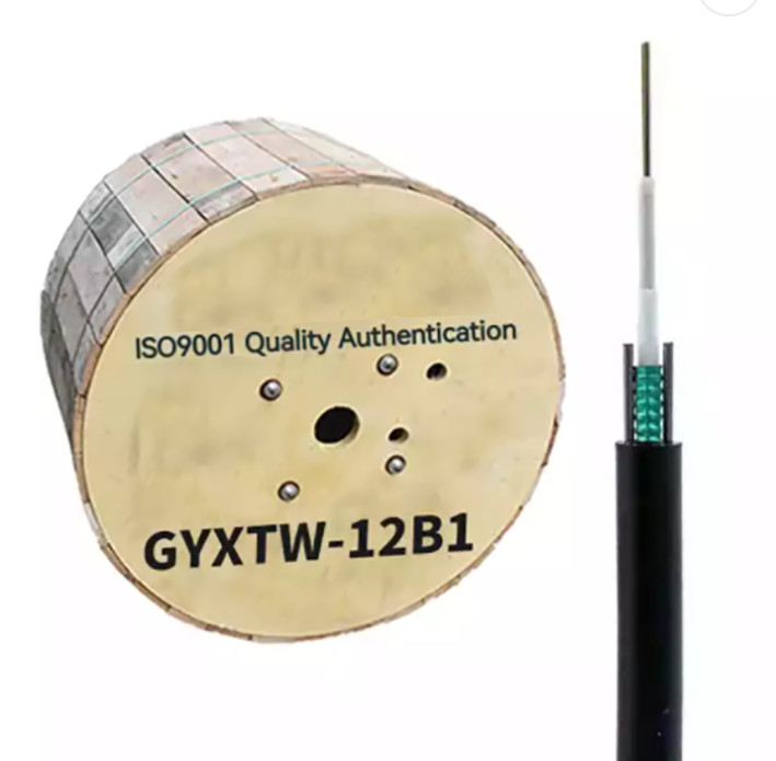 12 Kabel van de vezel de Lucht Optische Vezel GYXTW G652D/SM 1500N voor Telecommunicatiecommunicatie