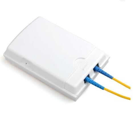 Stofdichte 2 van de de Toegangsdoos van de Kernftth Vezel Optische Opgezette SGS Muur